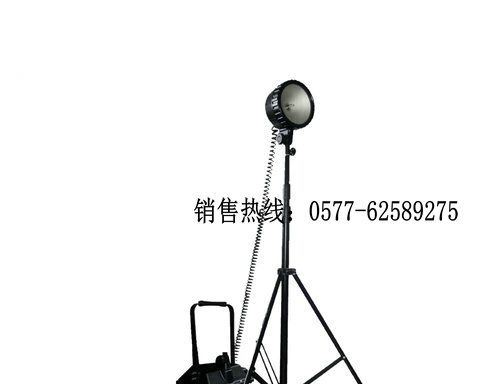 供应FW6101防爆移动灯,FW6101防爆移动灯厂家,防爆移动灯生产厂家,防爆工作灯
