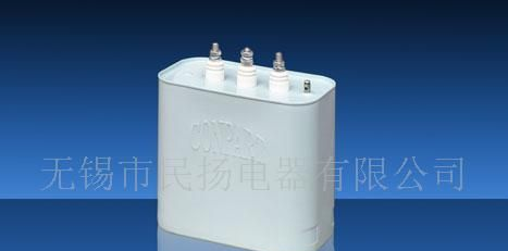 BCMJ0.525-40-3  电力电容器 批发