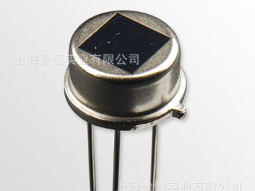D207Q热释电红外传感器