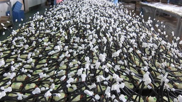 厂家大量供应变压器 驱动变压器 门禁变压器 环保变压器
