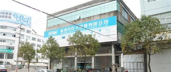 【厂家直销】高精度 二位拨码的TH-209可编程时间继电器