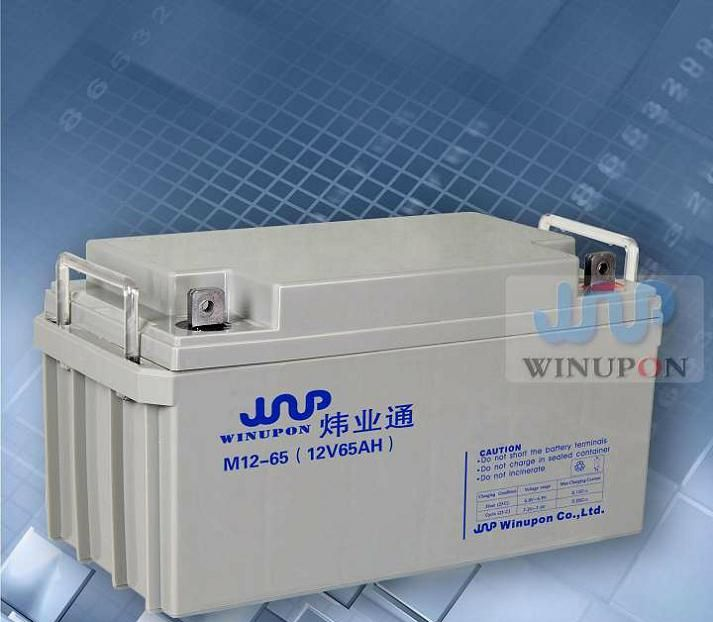 供应ups蓄电池12v24ah