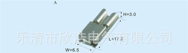 接线端子DJB622-W5*0.8—保险端子、汽摩家电接插件,乐清连接器