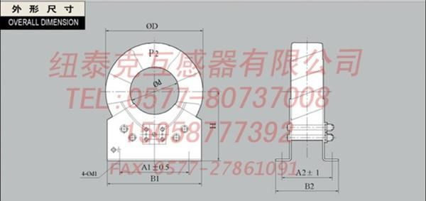 纽泰克 LJ-1户内零序电流互感器 电感器 南京 新疆 广西 云南