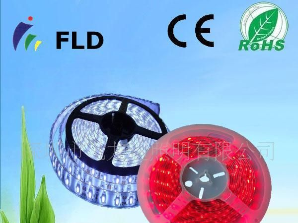 供应5050LED全套管防水灯带  一米30灯/60灯  LED  灯带