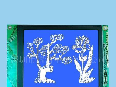 RT240160A-1 图形点阵液晶屏  供应LCD显示屏