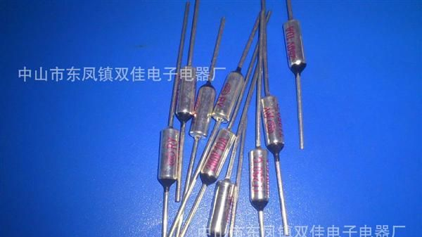 厂家供应RY温度保险丝  塑壳陶瓷玻璃电流保险丝