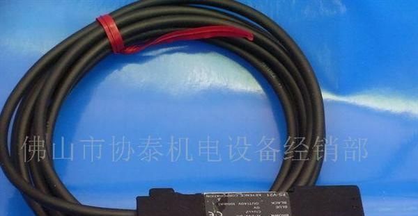 供应恩基斯 光纤传感器 FS-V21(图)