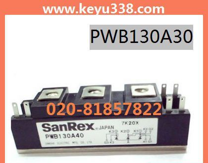 【SANREX 三社】 可控硅模块 PWB130A30 可控硅 PWB130A30
