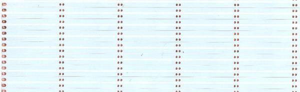 LED 软灯带 5050单色 FPC  1米60灯 双面白板