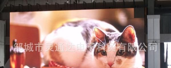 批发定做室内彩色LED显示屏,l量大从优