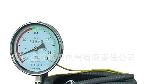压力表、SF6密度继电器