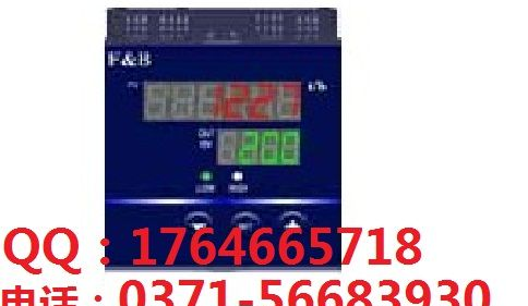 XMJ5000 显示控制仪 XMJ5000 流量积算仪