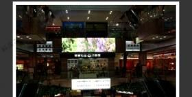 晋安区学校LED电子屏