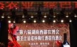 科美芯p6楼顶大型电子显示屏