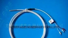 铁氟龙PT100传感器 (图)