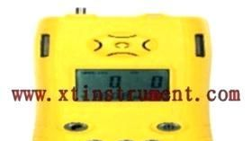 轩泰仪XTY5114790便携式泵吸型二合一检测报警仪