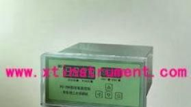 轩泰仪XTY6100131 监控仪/溶解氧监控仪