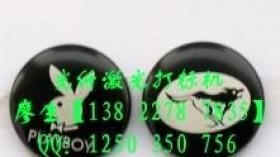 盛雄 DP-YLP-CO2珠海激光喷码机检测，木地板激光喷码机，中山盛雄激光喷码机