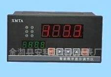 ATE压力显示仪表(图)数显表