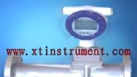 轩泰仪XTY5114829 旋进漩涡流量计