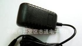 志通电子配件厂直供6V2A电源适配器