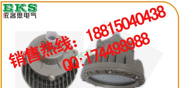 BLD-30AP大功率LED防爆灯具，LED防爆灯,LED免维护灯具-LED防爆灯