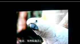 温州舞台全彩电子显示屏