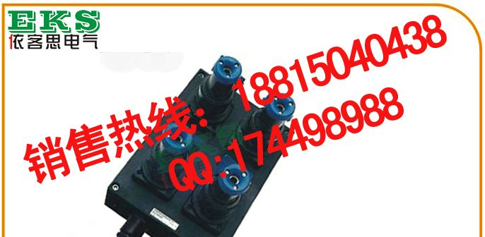 BXX8050-2/16/380防爆防腐电源插座箱，BXX8050-4/16/： BXX8050-4/32/，非标防爆电器箱，依客思品质保证