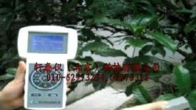 轩泰仪XTY5102243植株养分快速测定仪
