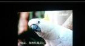 科美芯p6酒店全彩显示屏
