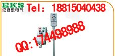 防爆操作柱,BZC-53-A2D2B1L防爆操作柱,BZC53-B1K1D2GWF1 dIIBT4,隔爆型防爆操作柱