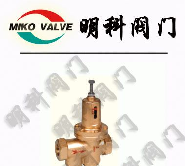 供应YZ11X直接作用薄膜式支管减压阀