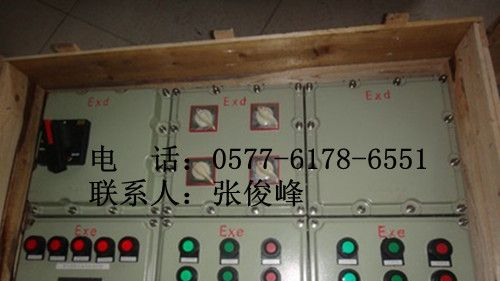 供应BXM(D)51防爆配电照明（动力）配电箱|上海定做