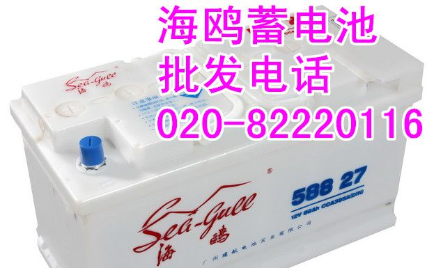 海鸥牌蓄电池