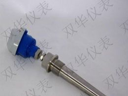 供应316L防腐热电阻