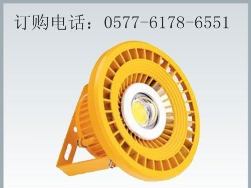 供应20W防爆灯/LED防爆灯60W