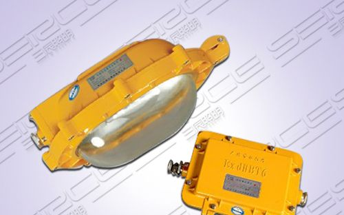 BFC8120防爆泛光灯