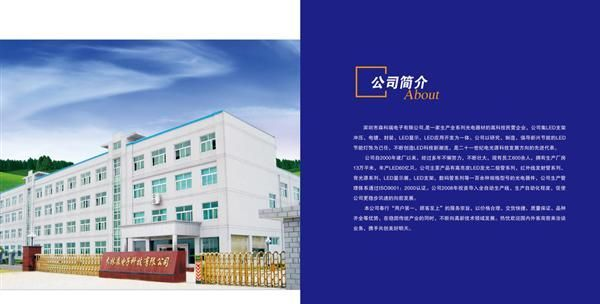 供应红绿方形发光二极管 双色方形发光二极管