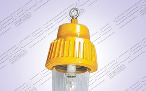 BPC8730防爆平台灯