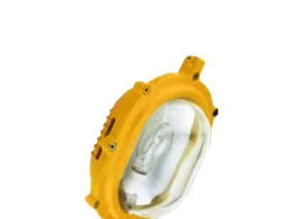 供应 BFE8120内场防爆应急灯 LED