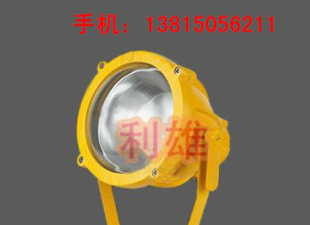 BTC8200_BTC8200A_防爆投光灯