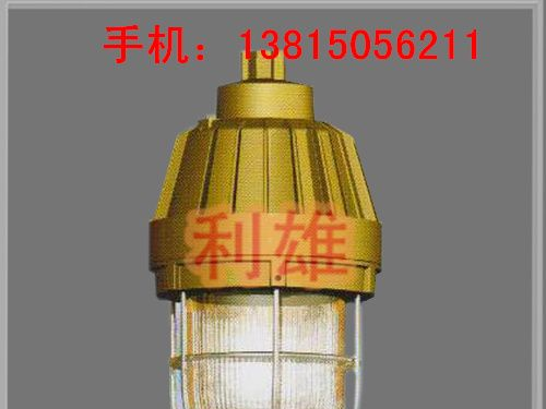 SBD3105 防爆无极灯