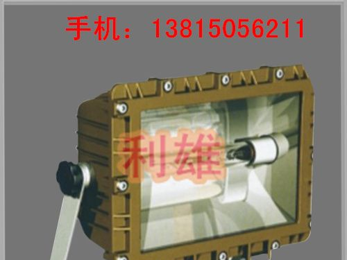 供应SBD3109 防爆泛光灯