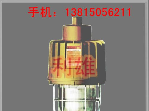 SBD3107 隔爆型防爆应急灯