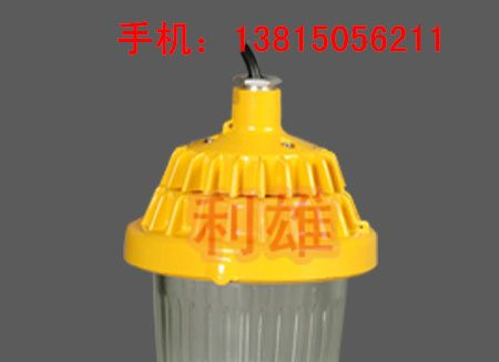 供应BPC8720_防爆平台灯
