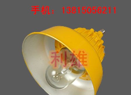 供应BPC8700_防爆平台灯