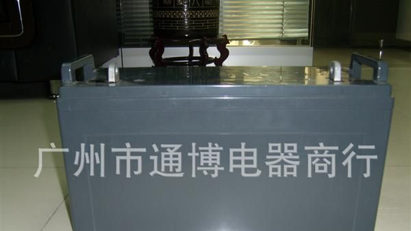 供应通博免维护电池