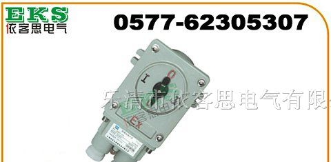 BHZ51  BHZ51防爆转换开关，防爆倒顺开关