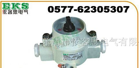 SW-10防爆照明开关，旋转照明开关，防爆照明开关
